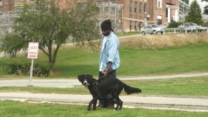 Inmate Dog HandlerThomas and his dog, Byram