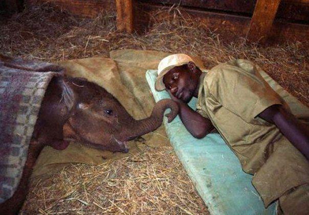 A Beautiful World | 1st Elephant Orphanage in Africa