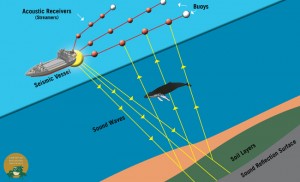 SeismicVesselDiagram_650