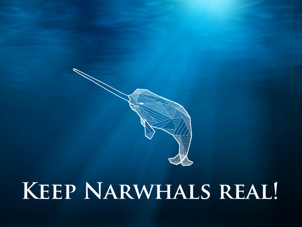 A Beautiful World | narwhals