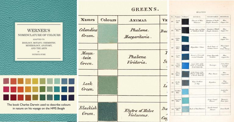 A Beautiful World | Darwin’s Colour Dictionary